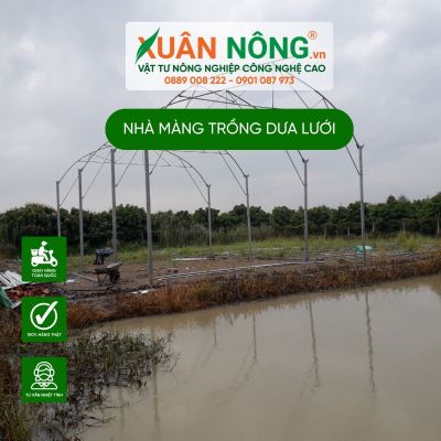 Nhà màng trồng dưa lưới giá rẻ cho nông dân miền Tây