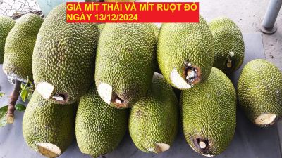 GIÁ MÍT THÁI VÀ MÍT RUỘT ĐỎ HÔM NAY NGÀY 13/12/2024