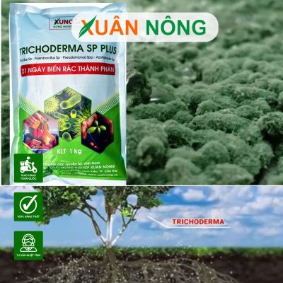 Nấm Trichoderma: Loại nào tốt, có độc không?