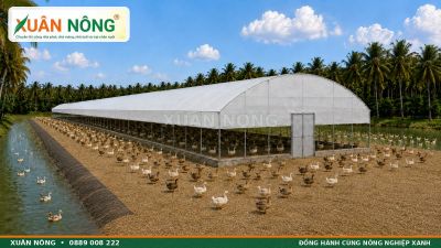 Thiết Kế V&agrave; Quy Chuẩn Trang Trại Nu&ocirc;i Vịt C&ocirc;ng Nghệ Cao