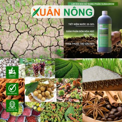 Sumagrow cải tạo đất, phục hồi đất bạc màu như thế nào?