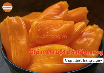 Giá mít ruột đỏ hôm nay ngày 29/06/2024