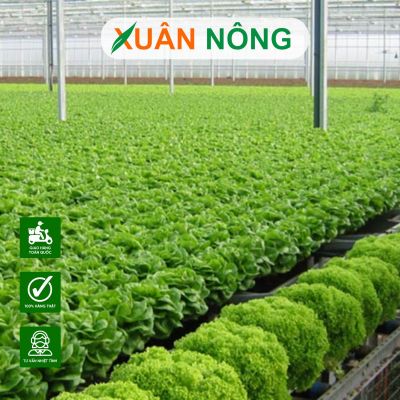 Sản phẩm nông nghiệp sạch cần đáp ứng những tiêu chuẩn nào?