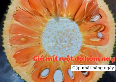 Giá mít ruột đỏ hôm nay ngày 28/06/2024