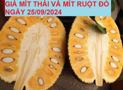 GIÁ MÍT THÁI VÀ MÍT RUỘT ĐỎ HÔM NAY NGÀY 25/09/2024