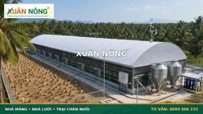 Hệ Thống Tự Động H&oacute;a Trong Trại M&agrave;ng Hiệu Quả