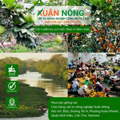 Top 5 điểm du lịch nông nghiệp nổi tiếng ở Vĩnh Long