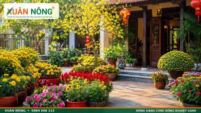 Trồng Hoa G&igrave; Kịp Đ&oacute;n Tết? 10 Loại Hoa Dễ Trồng