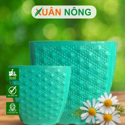 Các loại chậu nhựa trồng cây bền, đẹp, thoát nước tốt