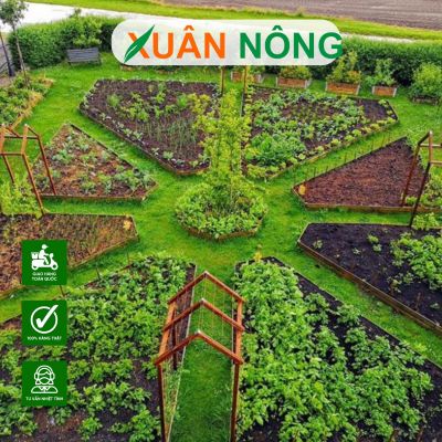 Cách làm vườn đơn giản mà thu hoạch được quanh năm