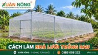 C&aacute;ch l&agrave;m nh&agrave; lưới trồng rau đơn giản, tiết kiệm chi ph&iacute;