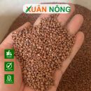 Hạt giống Cần Thơ: Chất lượng gieo trọn mùa bội thu