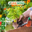 10 bí quyết làm vườn hiệu quả cho người mới bắt đầu