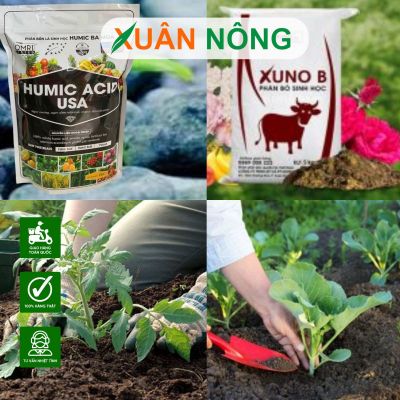 Phối hợp Humic Mỹ và phân hữu cơ giúp tăng năng suất