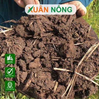 Tác dụng của phân hữu cơ với đất trồng bị bạc màu