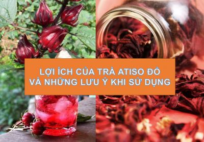 Lợi ích của trà hoa atiso đỏ và những lưu ý khi sử dụng