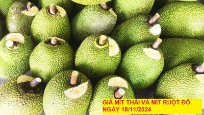 GIÁ MÍT THÁI VÀ MÍT RUỘT ĐỎ HÔM NAY NGÀY 18/11/2024