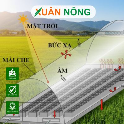 Nhà kính phơi tiêu - Top 15 lưu ý khi thi công