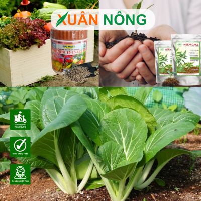 Phân hữu cơ hay NPK – Loại nào tốt cho rau sạch?