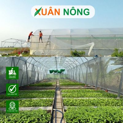 Chi phí làm nhà màng 1000m2 tại Tây Ninh trọn gói