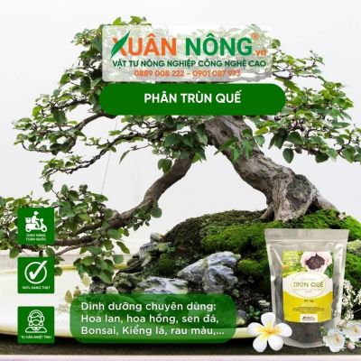 So sánh phân trùn quế với các dòng phân hữu cơ khác