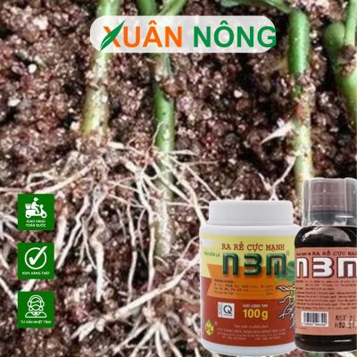 Cách sử dụng thuốc kích rễ khi giâm cành, ươm cây