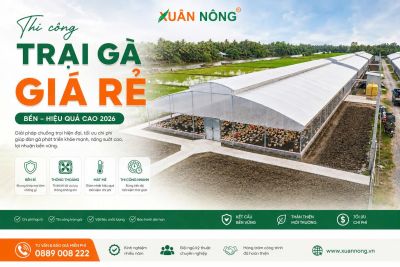 Thi C&ocirc;ng Trại G&agrave; Gi&aacute; Rẻ, Bền, Hiệu Quả Cao 2026