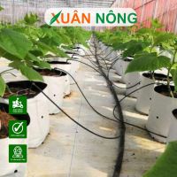 Mô hình trồng dưa lưới trong nhà màng năng suất cao 2025