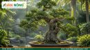 C&acirc;y Duối &ndash; Đặc Điểm, &Yacute; Nghĩa, C&aacute;ch Trồng V&agrave; Chăm S&oacute;c