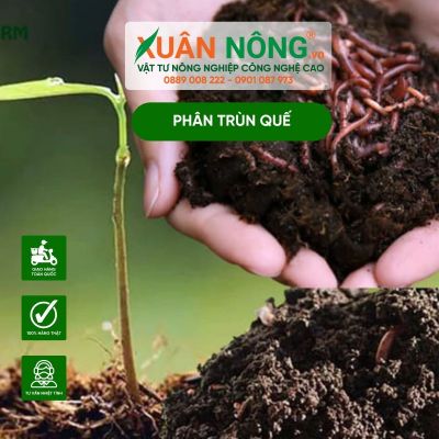 Phân trùn quế tan chậm chuyên dành cho lan