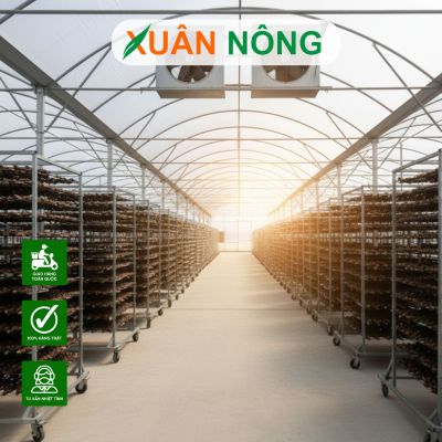 Nhà kính phơi tiêu tại Đồng Nai và những lưu ý