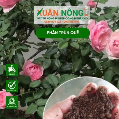 Phân trùn quế chuyên bón cho rau sạch, kiểng lá, hoa hồng