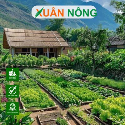 Bí quyết tự trồng rau sạch tại nhà cực kì đơn giản