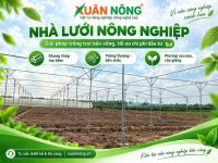 Nh&agrave; lưới trồng hoa v&agrave; c&acirc;y giống: Thiết kế ph&ugrave; hợp