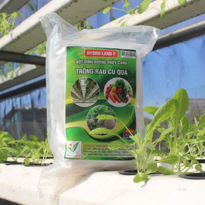 Đánh giá các loại dung dịch thủy canh cho rau, cây cảnh 2024