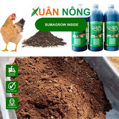 Bí quyết sử lý phân gà bằng Sumagrow Inside