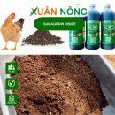 Bí quyết xử lý phân gà bằng Sumagrow Inside