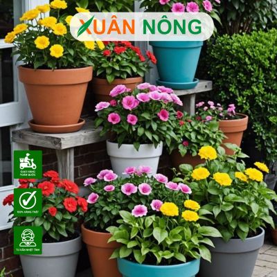 Mẹo chọn chậu trồng cây phù hợp từng không gian sân vườn