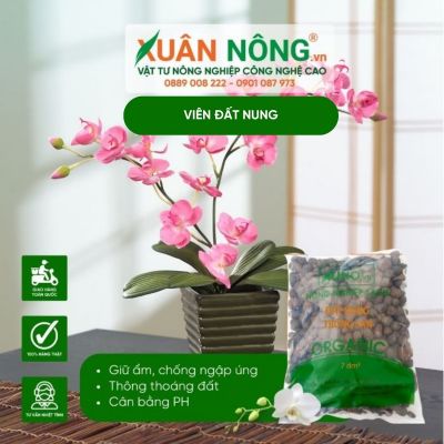 Lợi ích của viên đất nung đối với kiểng lá