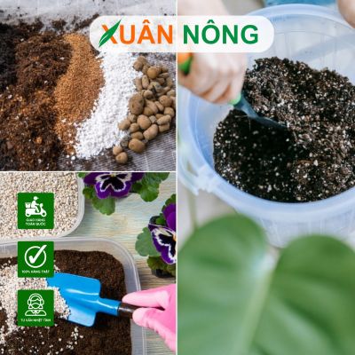 Công thức trộn đất trồng cây cảnh tại nhà đơn giản