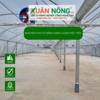Nhà kính phơi ớt bằng năng lượng mặt trời