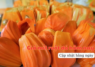 Giá mít ruột đỏ hôm nay ngày 30/06/2024