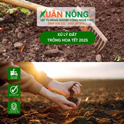 Kỹ thuật xử lý đất trồng hoa Tết 2025 đúng chuẩn